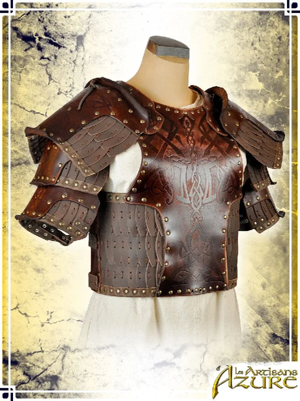 Viking Armor